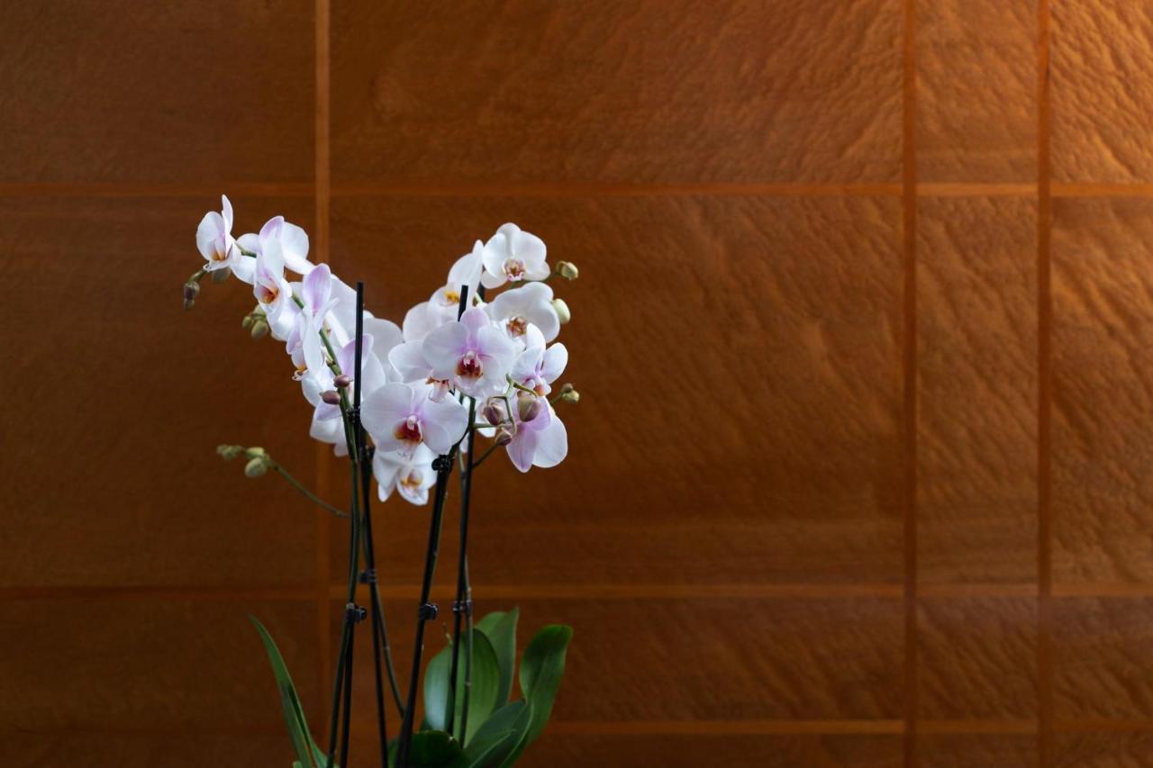 Como The Halkin Londres Exterior foto
